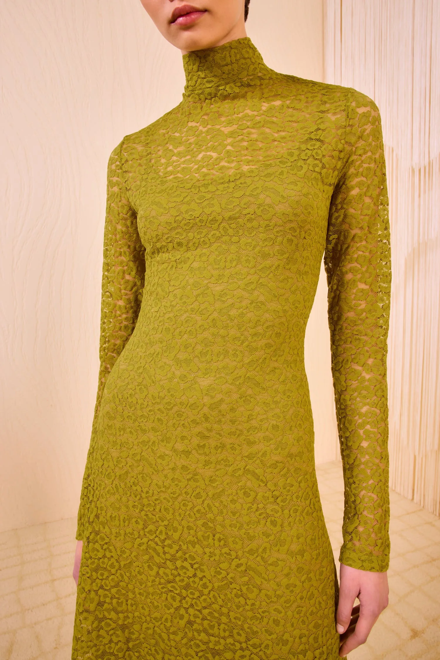 Talia Long Sleeve Turtleneck Dress - Argan new yorker